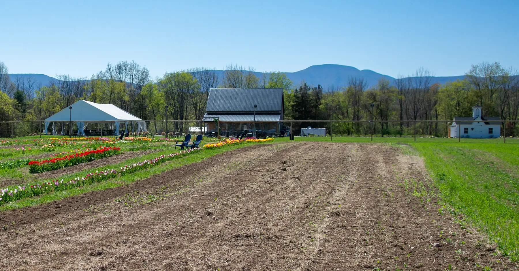 Summer Season Sure to Delight at Meadowbrook Farm Catskills